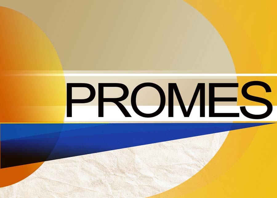 Logo_PROMES
